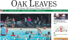 Oak Park Leaves